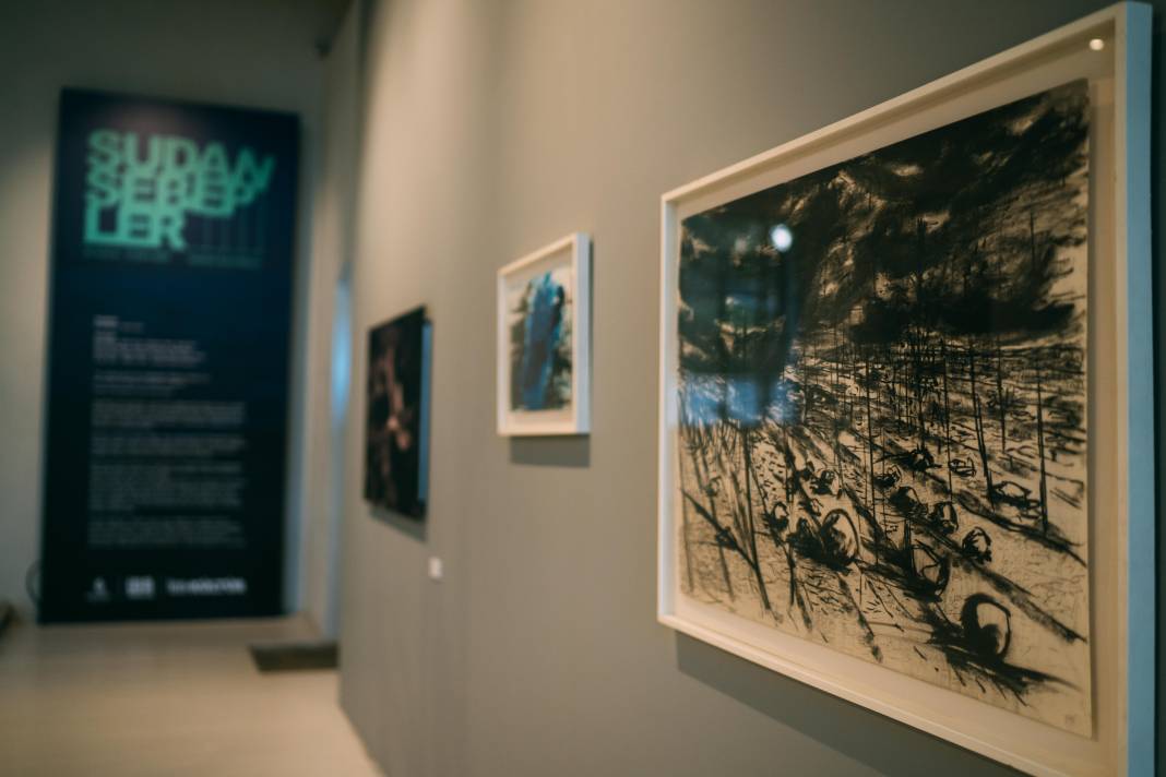 Suyun hikâyesini anlatan sergi “Sudan sebepler” 1 Şubat’a kadar uzatıldı 1